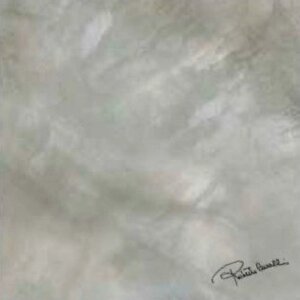 Керамогранит Roberto Cavalli Bright Pearl Silver Firma Rett 80x80