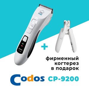 CODOS для домашнего использования, для профессионального использования CP-9200