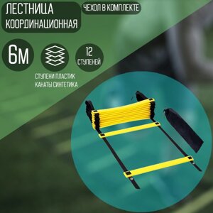 Лестница Sportleader SPL0642 6 м