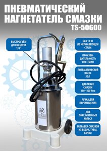 Техносоюз TS50600 Нагнетатель смазки с пневмоприводом 13кг. (корпус из нержавеющей стали)