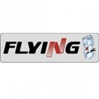 Flying