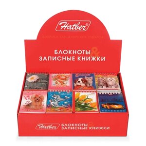 Блокнот А7, 40 л., клетка, Hatber "Ассорти", спираль, гибкий картон