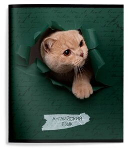 Тетрадь 48 л. А5 кл. скреп. Schoolformat ЛЮБОПЫТНЫЙ КОТИК Анг. язык мел. карт., ВД-лак