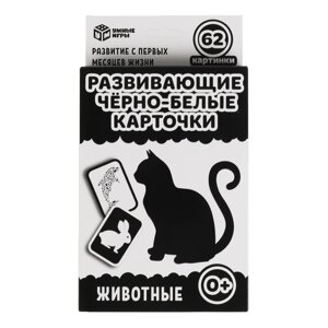 Животные. Карточная игра. Коробка с европодвесом, 32 карточки. Умные игры