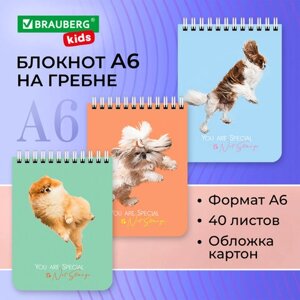 Блокнот МАЛЫЙ ФОРМАТ 108х145мм, А6, 40л, гребень, картон, клетка, Brauberg KIDS, "Собачки" в Орловской области от компании Интернет-магазин игрушек "Весёлый кот"