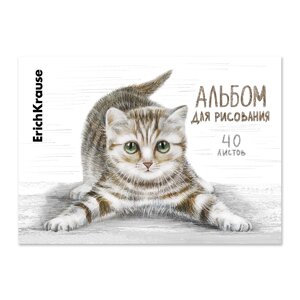 Альбом для рисования на клею ErichKrause Tabby, А4, 40 листов
