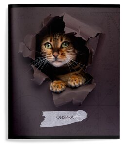 Тетрадь 48 л. А5 кл. скреп. Schoolformat ЛЮБОПЫТНЫЙ КОТИК Физика мел. карт., ВД-лак