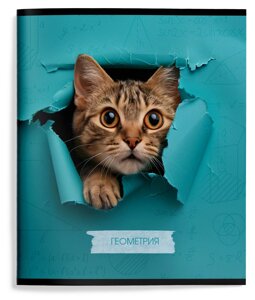 Тетрадь 48 л. А5 кл. скреп. Schoolformat ЛЮБОПЫТНЫЙ КОТИК Геометрия мел. карт., ВД-лак