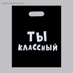 Пакет с приколами, полиэтиленовый с вырубной ручкой, «Ты классный» 31 х 40 см, 60 мкм в Орловской области от компании Интернет-магазин игрушек "Весёлый кот"