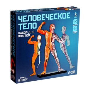 ЭВРИКИ Научный опыт "Человеческое тело" №SL-01926 3690719