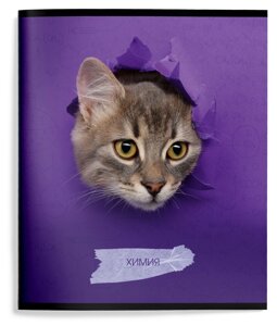 Тетрадь 48 л. А5 кл. скреп. Schoolformat ЛЮБОПЫТНЫЙ КОТИК Химия мел. карт., ВД-лак