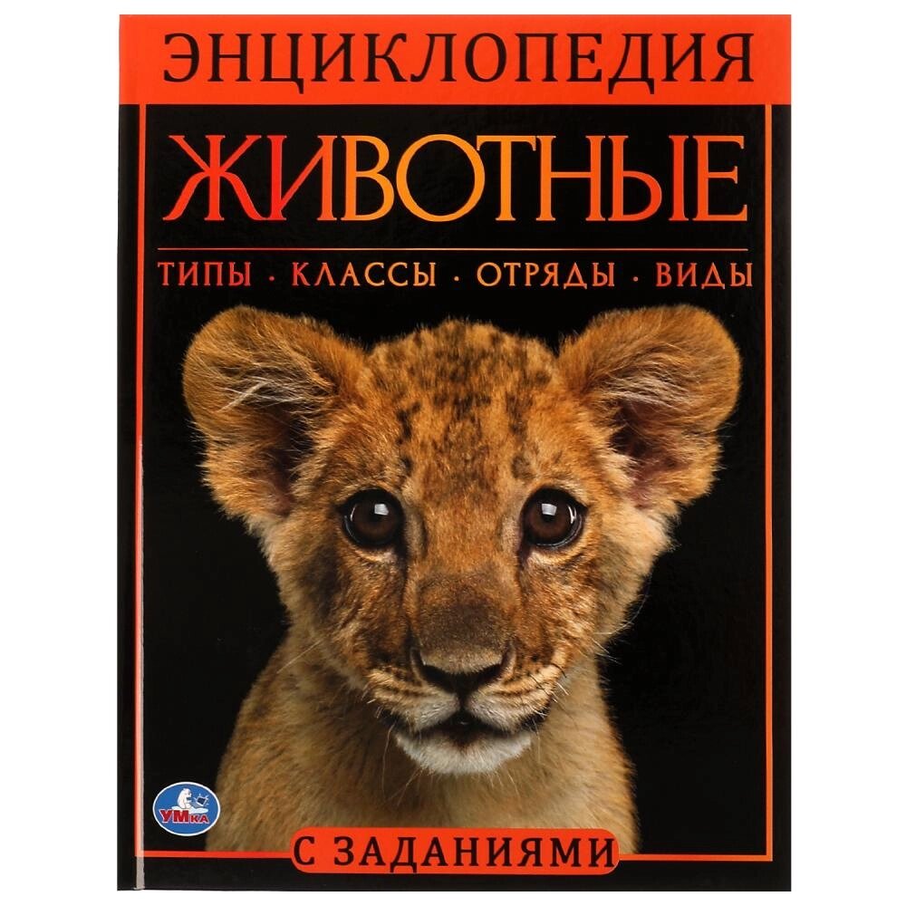 Животные. Энциклопедия А4. 197х255мм, 48 стр. мелов. бумага, тв. переплет, фольга. Умка от компании Интернет-магазин игрушек "Весёлый кот" - фото 1