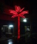 Светодиодная пальма (Прайс по запросу)