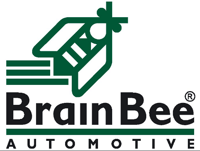 BRAIN BEE