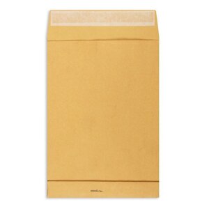 Пакет почтовый Extrapack B4 из крафт-бумаги стрип 250х353 мм (120 г/кв. м, 250 штук в упаковке)
