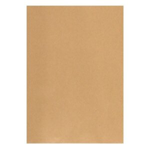 Пакет почтовый Multipack С4 из крафт-бумаги стрип 229х324 мм (100 г/кв. м, 200 штук в упаковке)