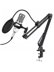 Конденсаторный микрофон Набор studio BM800