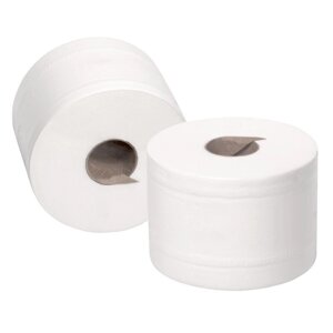 Туалетная бумага в рулонах 2-слойная белая 12 рулонов по 100 метров