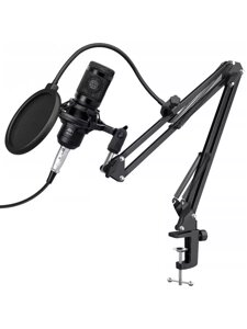 Конденсаторный микрофон Набор studio BM800