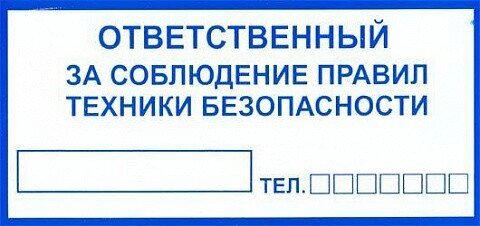 Знак Эксклюзив L10 Ответственный за технику безопасности (размер 300х150) фотолюминесцентный от компании Арсенал ОПТ - фото 1