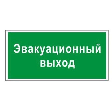 Знак Эксклюзив L13 Эвакуационный выход (размер 300х150) фотолюминесцентный от компании Арсенал ОПТ - фото 1