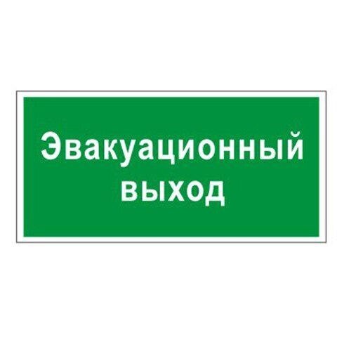 Знак Эксклюзив L13 Эвакуационный выход (размер 300х150) от компании Арсенал ОПТ - фото 1